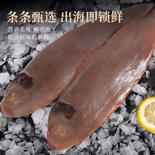 新鲜龙利鱼冷冻鳎目鱼比目鱼牛舌鱼龙舌鱼踏板鱼舌鳎鱼海鲜水产品